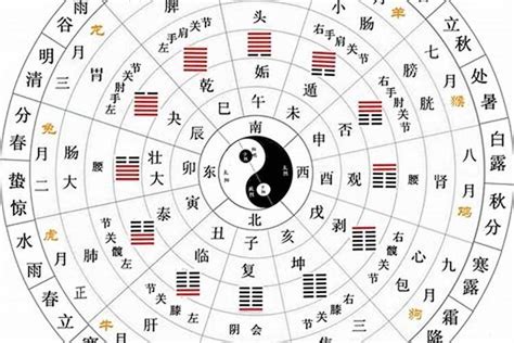 十天干十二地支|解析十天干和十二地支的来源